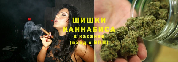 ГАЛЛЮЦИНОГЕННЫЕ ГРИБЫ Аркадак