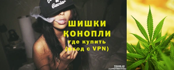 ГАЛЛЮЦИНОГЕННЫЕ ГРИБЫ Аркадак