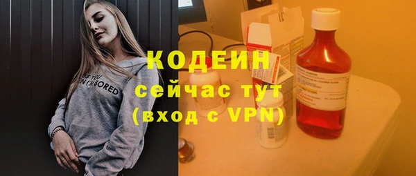 ГАЛЛЮЦИНОГЕННЫЕ ГРИБЫ Аркадак