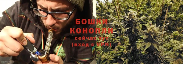 ГАЛЛЮЦИНОГЕННЫЕ ГРИБЫ Аркадак