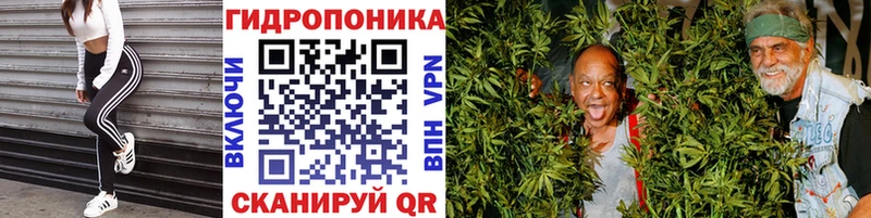 Каннабис OG Kush  Мглин 